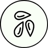 Susam